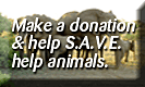 Help S.A.V.E. help animals